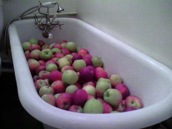 Bathtub filled with red and green apples for cider making by Joy Doumis and Jeremy Hammond, circa 2011
